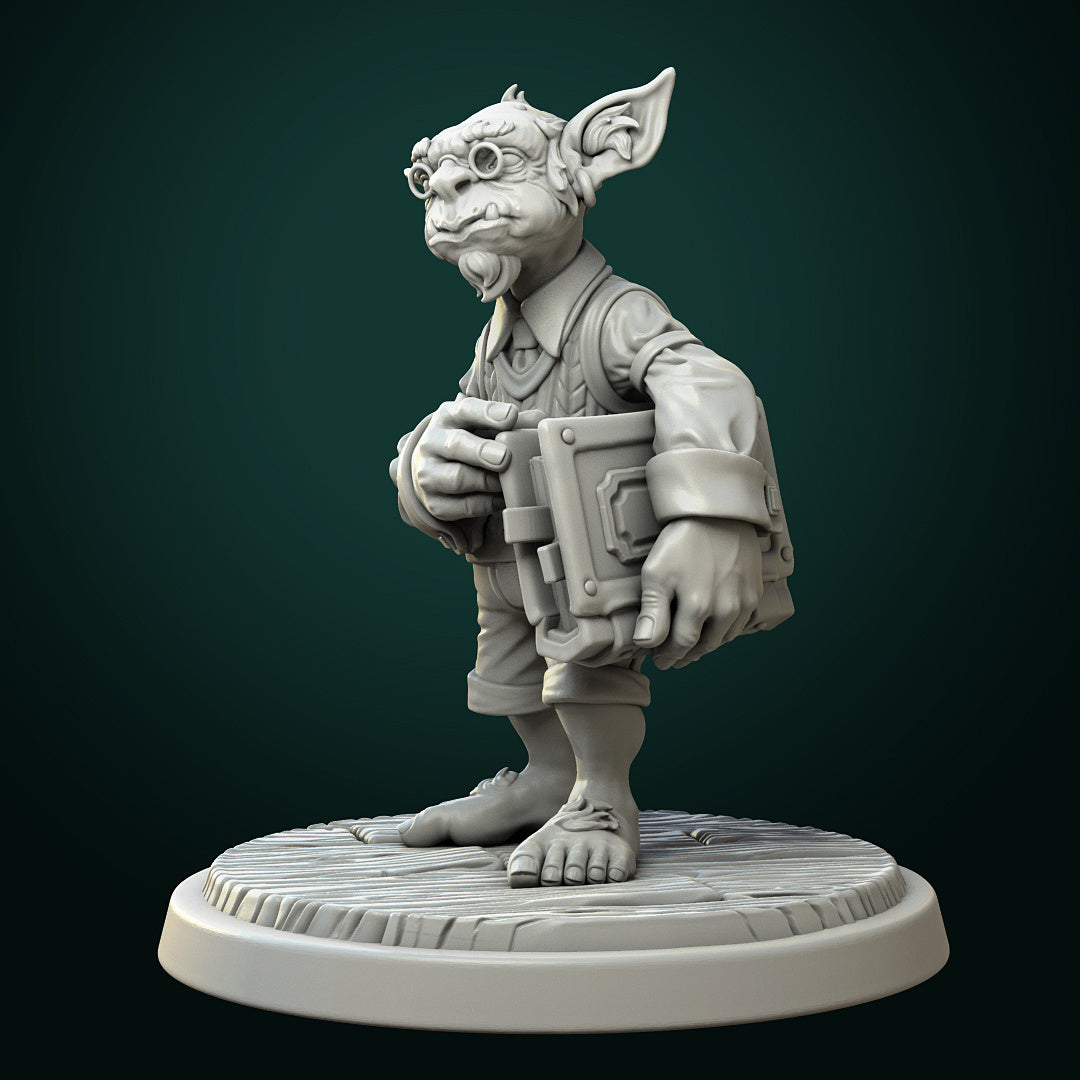 Goblin librarianr  32mm, 53mm o 75mm
